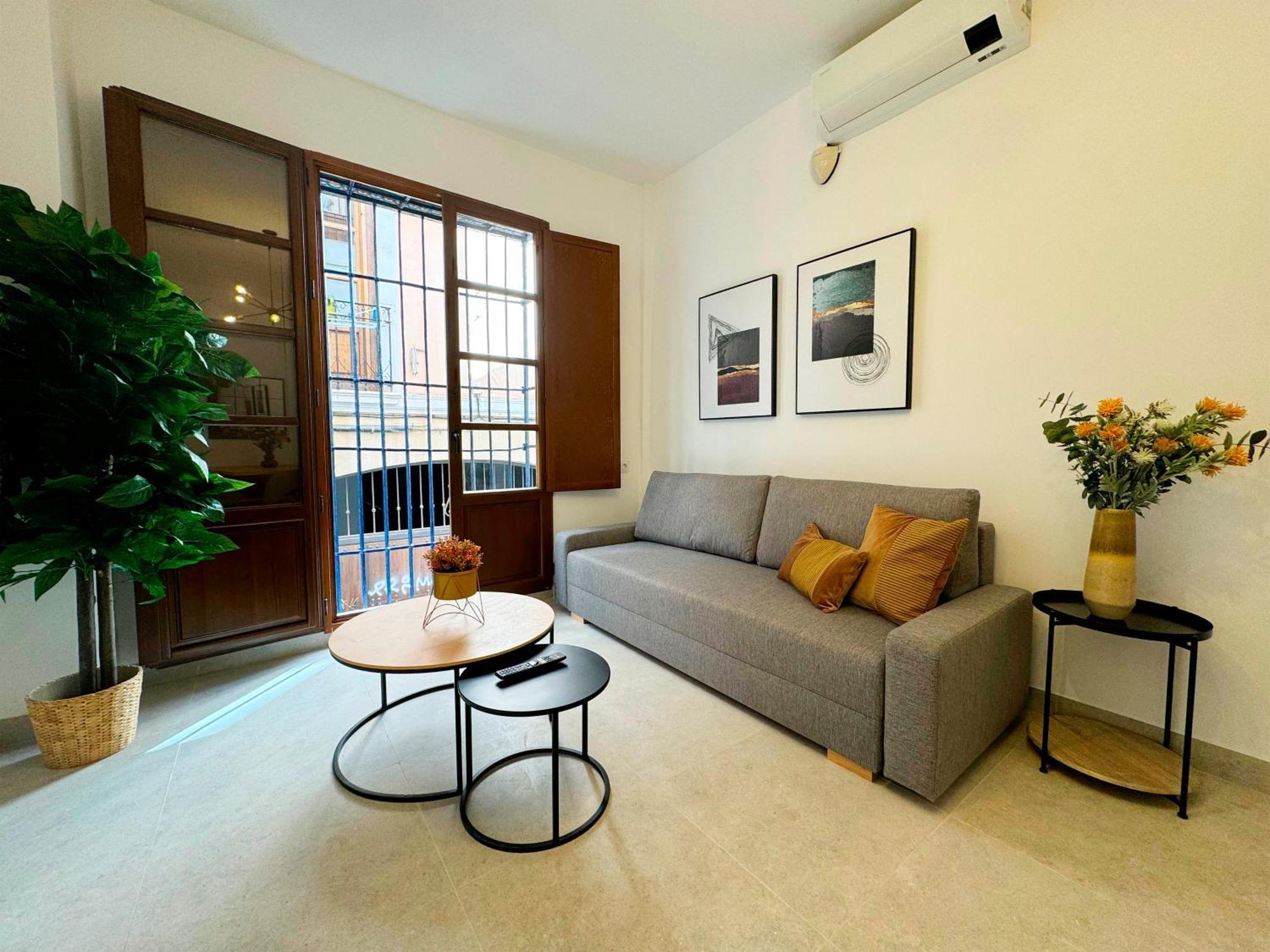 Apartamentos Plaza San Agustin 3000 グラナダ エクステリア 写真
